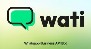Understanding Wati